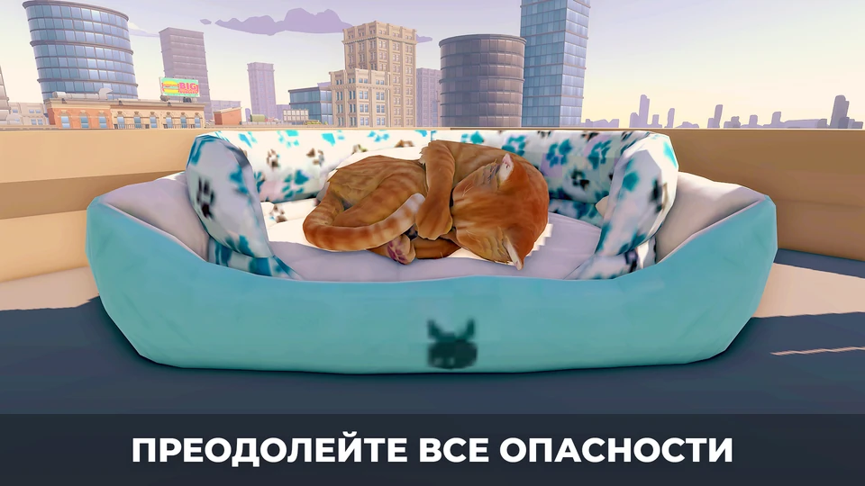 Симулятор Кота в городе — 2