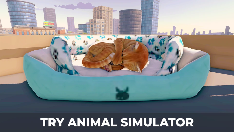Cat Simulator in the City — 1