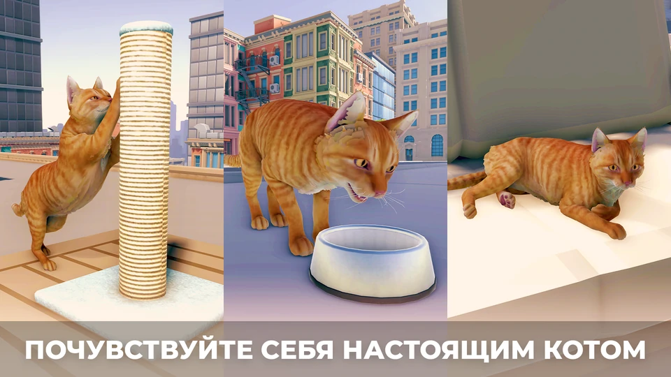 Симулятор Кота в городе — 5
