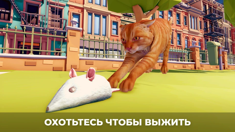 Симулятор Кота в городе — 6