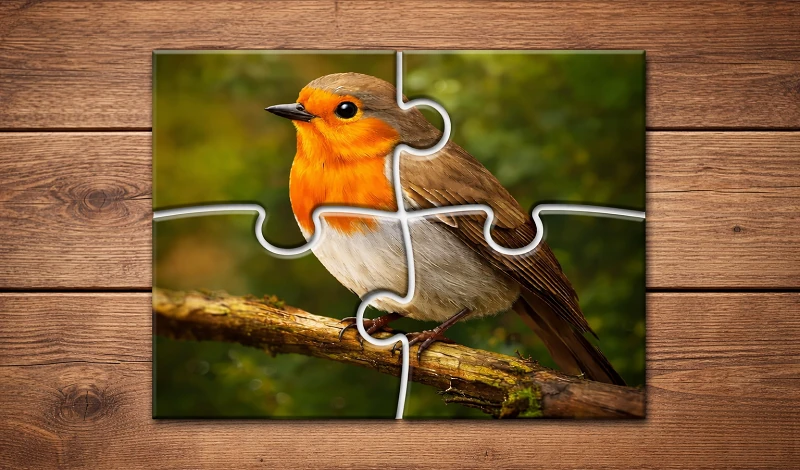 Relax Jigsaw Puzzles: Puzzle Games for Adults