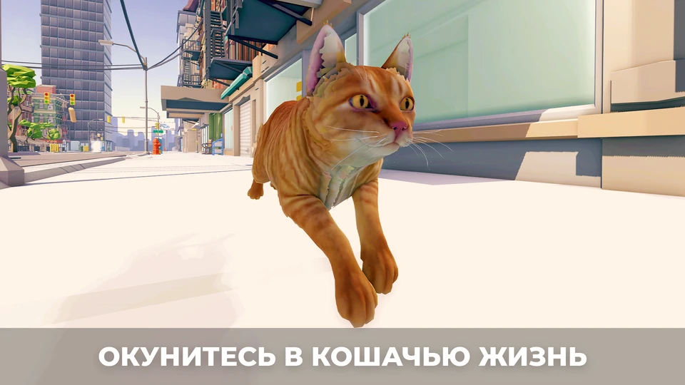 Симулятор Кота в городе — 3