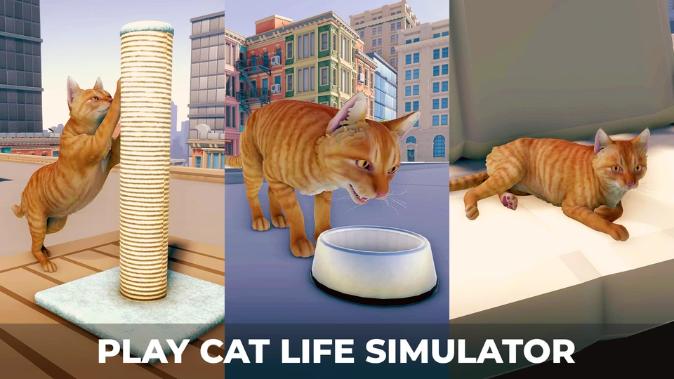 Cat Simulator in the City — 4