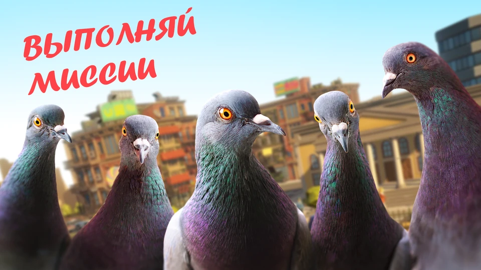 Голубь: Симулятор Птицы — 1